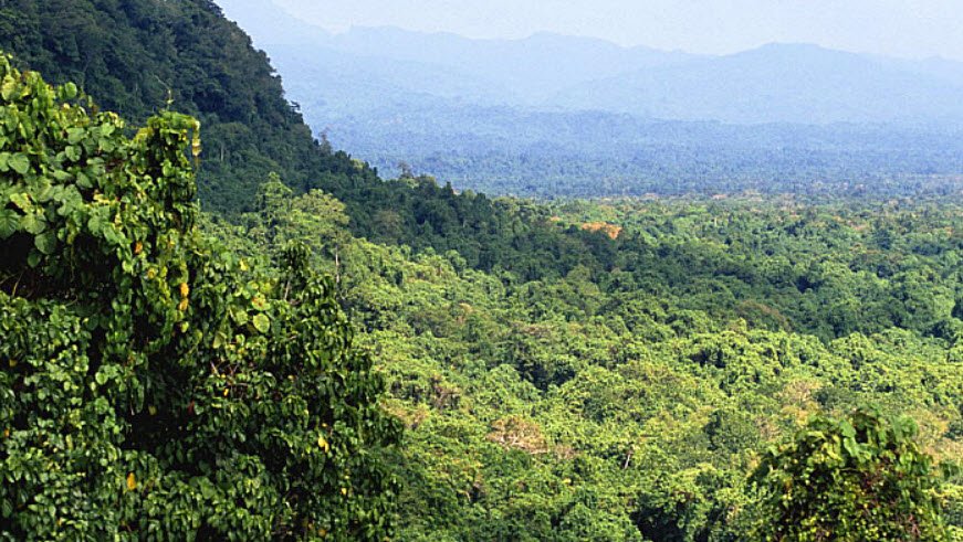 Vatthe Conservation Area, Near Luganville, Espiritu Santo, Vanuatu